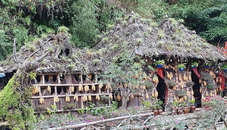 Cat Cat Village