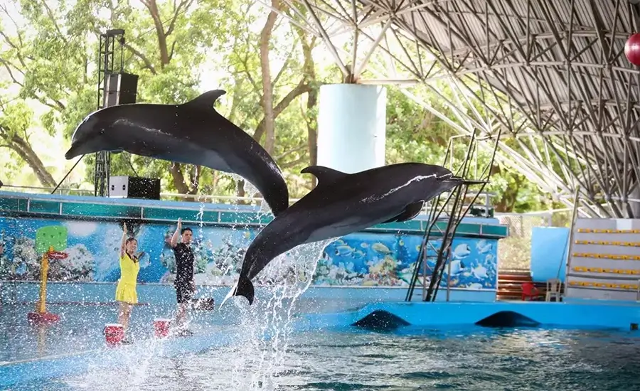 King Kong Park in Tuan Chau