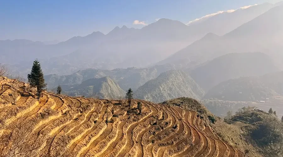 a view from the train