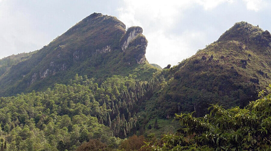 Ham Rong Mountain