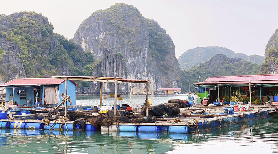 Cai Beo Fishing Village