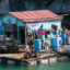 Cai Beo Fishing Village