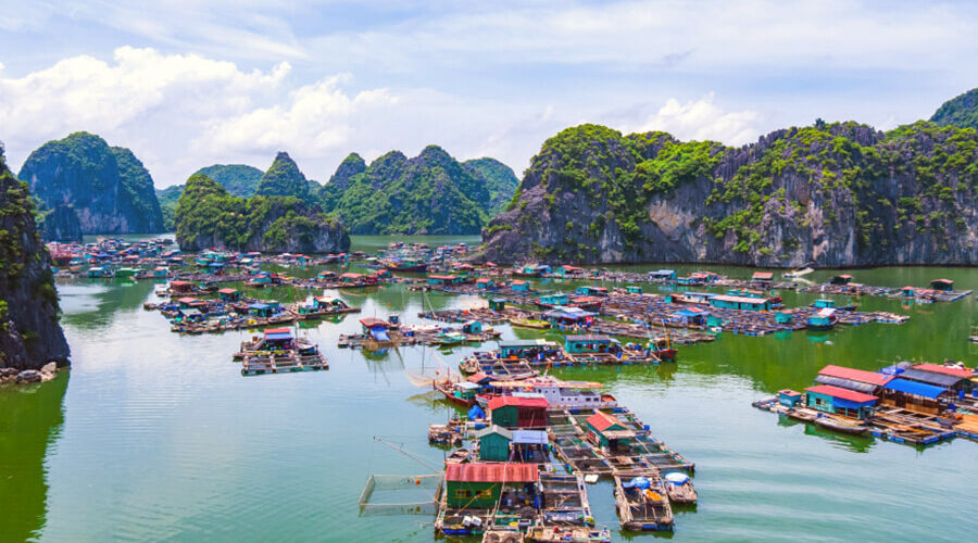 Cai Beo Fishing Village
