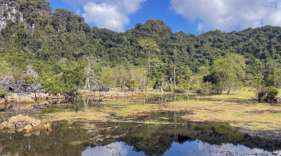 Cat Ba national park