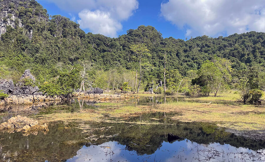 Cat Ba national park