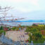 Cua Ong Temple