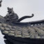 the unique roof Dong Pagoda
