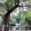 Rong temple