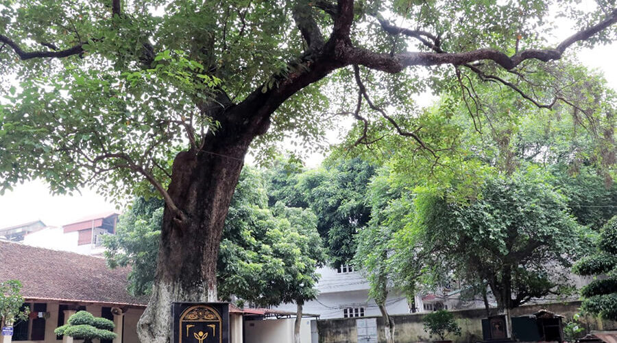 Rong temple