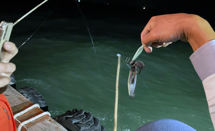 Squid fishing in Cat Ba
