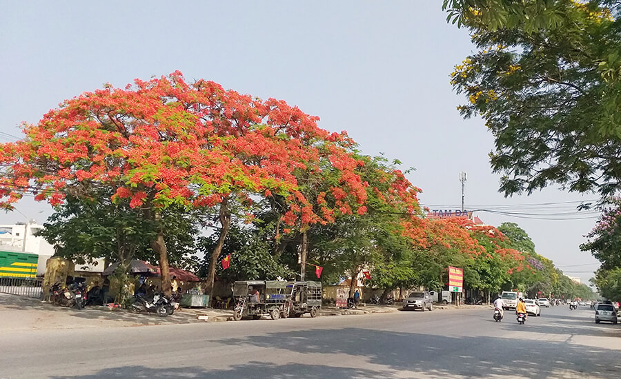 best time to explore Hai Phong