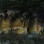Voi Mountain