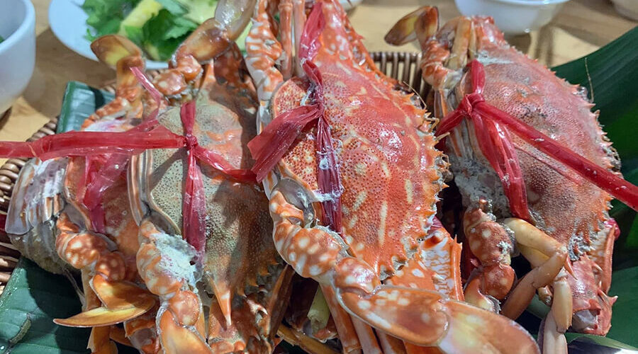 cuisine in Lan Ha Bay