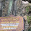 old tree in Hoa Yen Pagoda