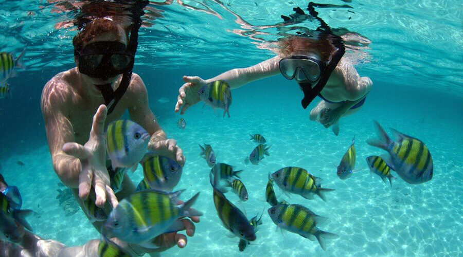 diving in Monkey Island, Cat Ba