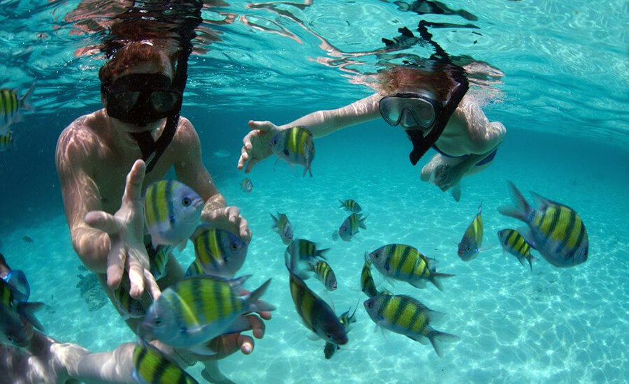 diving in Monkey Island, Cat Ba