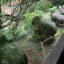 ten stone animal satues