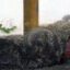 stone dragon in Truc Temple