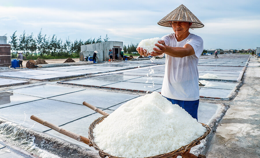 Bach Long salt field