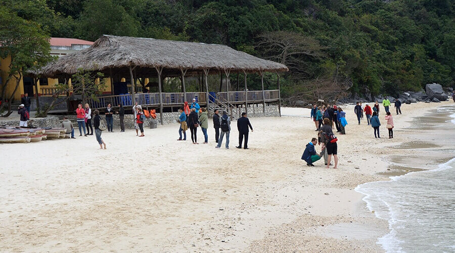 Monkey Island, Cat Ba