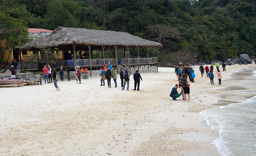 Monkey Island, Cat Ba