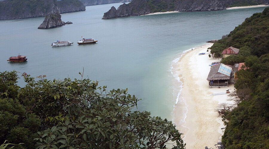 Monkey Island, Cat Ba