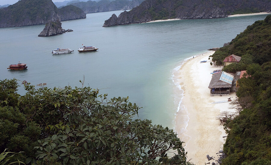 Monkey Island, Cat Ba