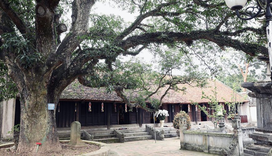 Pho Minh Pagoda