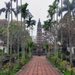 Pho Minh tower