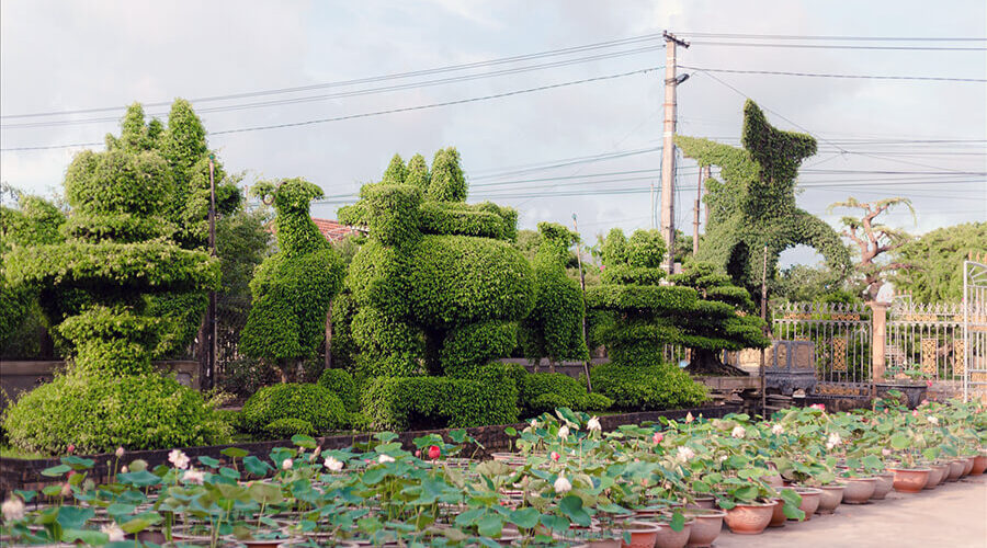 Vi Khe Ornamental Plant Village