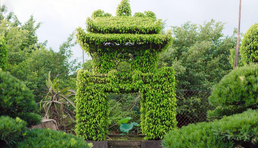 Vi Khe Ornamental Plant Village