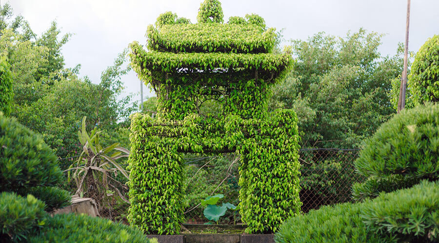 Vi Khe Ornamental Plant Village