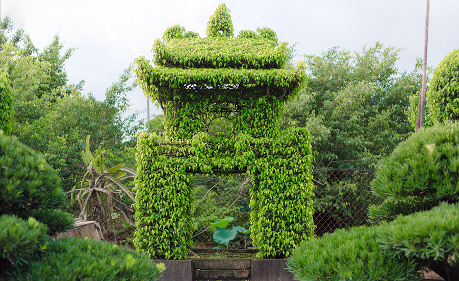 Vi Khe Ornamental Plant Village