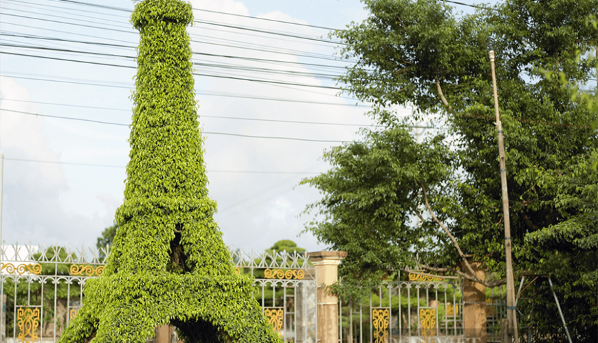 Vi Khe Ornamental Plant Village