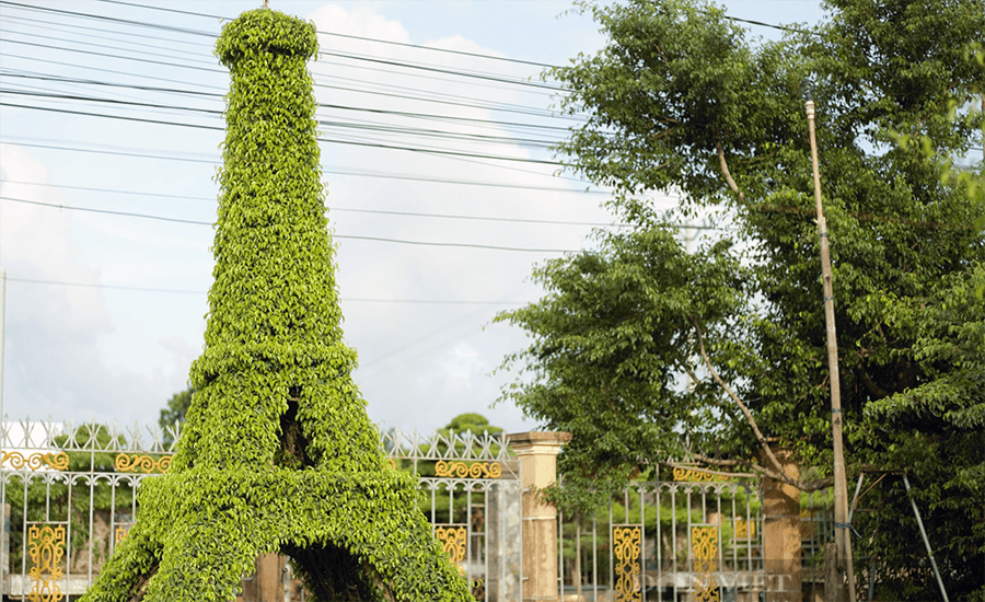 Vi Khe Ornamental Plant Village