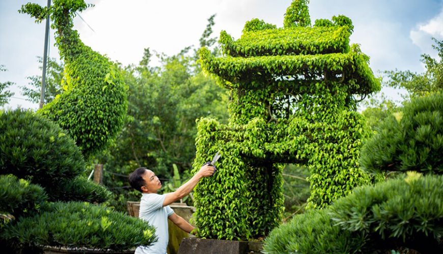 Vi Khe Ornamental Plant Village
