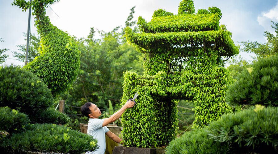 Vi Khe Ornamental Plant Village