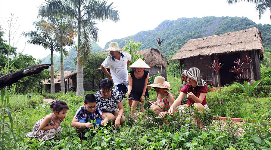 Viet Hai ancient village
