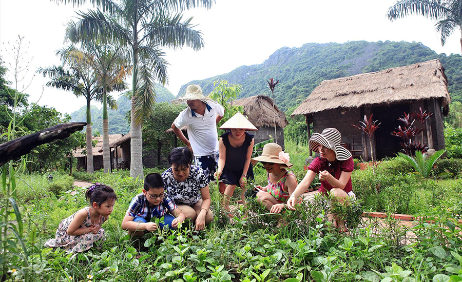 Viet Hai ancient village