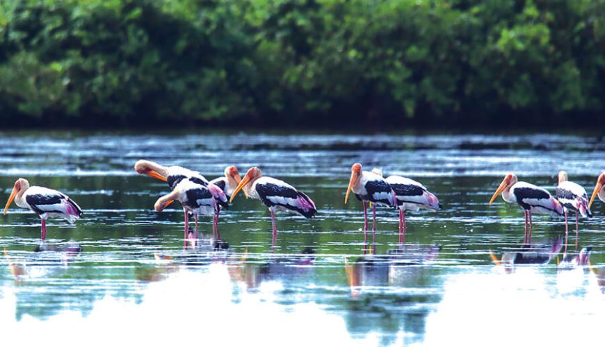 Xuan Thuy National Park