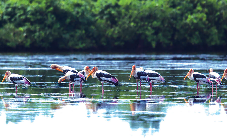 Xuan Thuy National Park