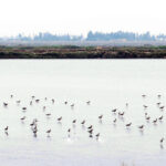Xuan Thuy National Park
