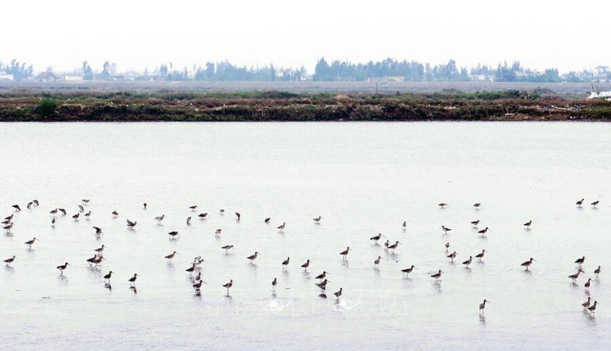 Xuan Thuy National Park