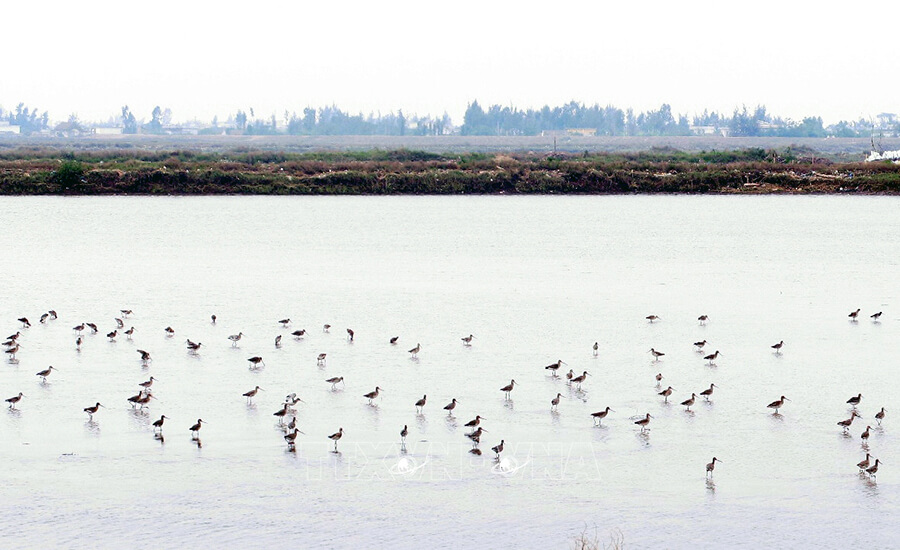 Xuan Thuy National Park