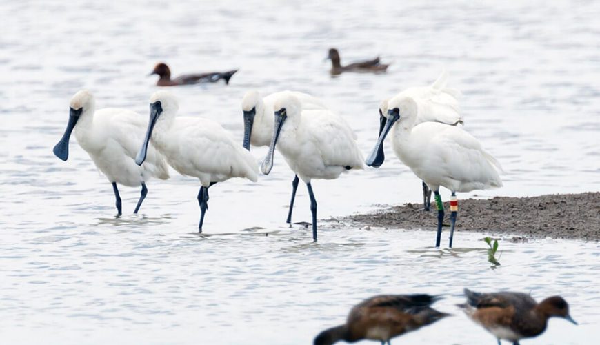 Xuan Thuy National Park