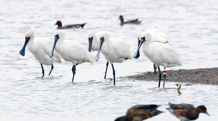 Xuan Thuy National Park