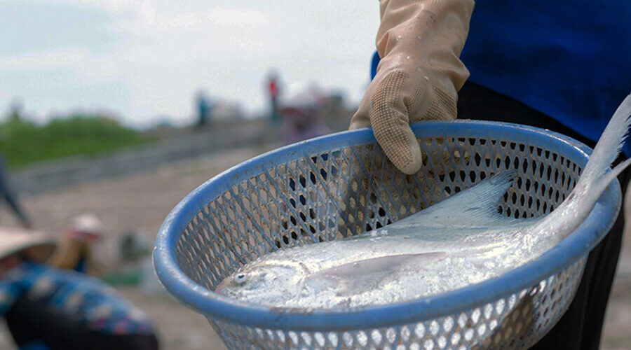 Xuan Thuy National Park