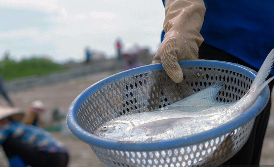 Xuan Thuy National Park
