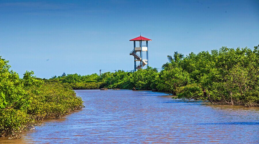 Xuan Thuy National Park