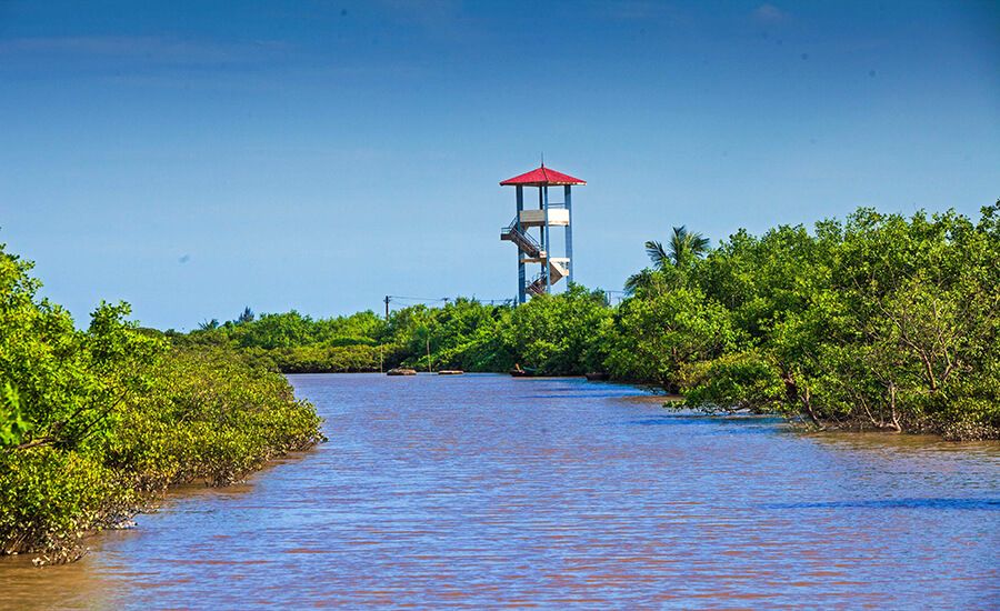 Xuan Thuy National Park